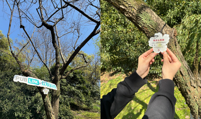 在西湖畔，我们用三棵树种下对AI未来的诺言